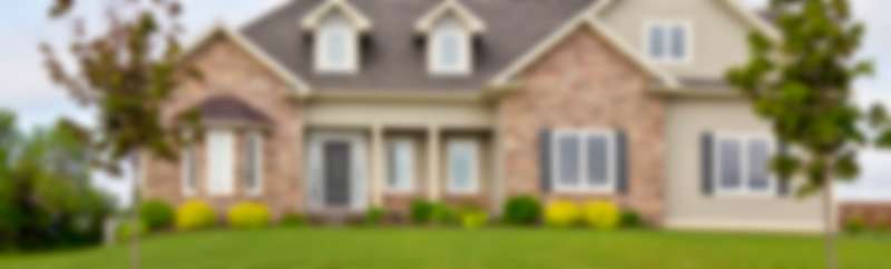 Drone-Based Pest Surveillance Drone-Based Pest Surveillance